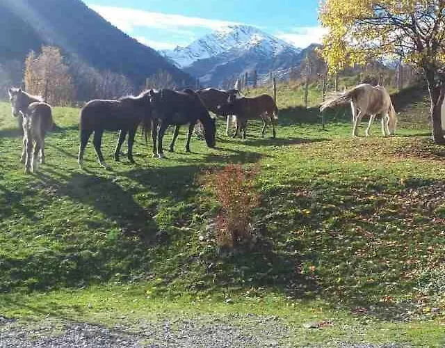 Les D'aure. * Aragnouet
